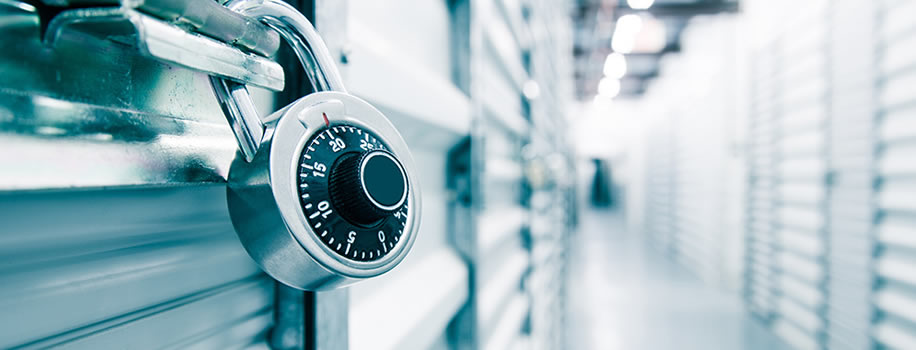 Security Solutions for Storage Facilities in Anchorage,  AK